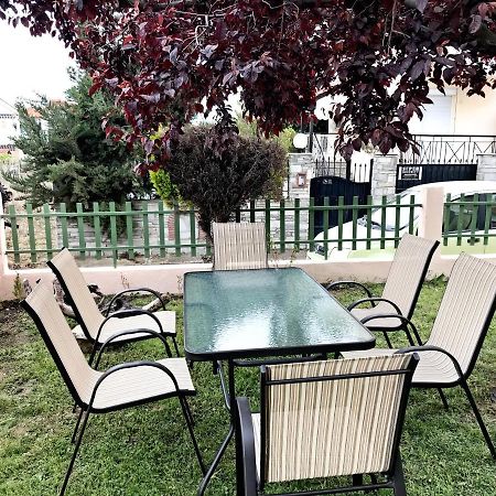 Dimitra'S And Nasia'S Villa Pszakúdia Kültér fotó