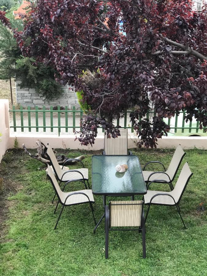 Dimitra'S And Nasia'S Villa Pszakúdia Kültér fotó