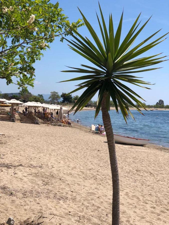Dimitra'S And Nasia'S Villa Pszakúdia Kültér fotó
